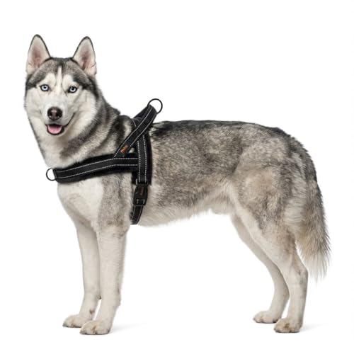 Didog Soft Flannel Padded Dog Vest Harness, No Pull/Quick Fit Reflective Dog Strap Harness, Easy for Training Walking (M:Chest 21-26", Black) - color: Black, size: M:chest 21-26"