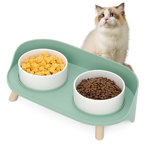 Elevated Dog Bowls Set, Ceramic Pet Food & Water Bowls with Non-Slip Stand, No Spill Design for Cats/Small Medium Dogs Green - color: Green