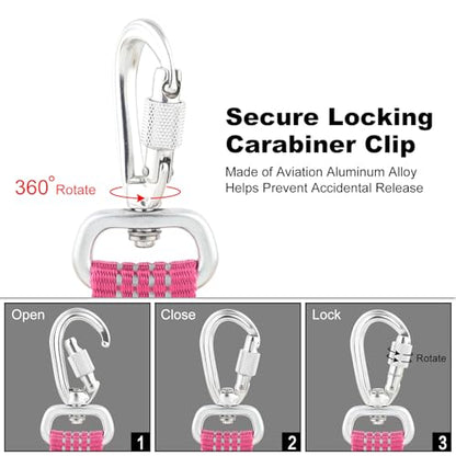 Plutus Pet Heavy Duty Dog Leash with Lockable Aluminum Carabiner, 4/6 Feet Long, Double-Sided Reflective Nylon, Padded Handle, for Puppy, Small, Medium and Large Dogs (Pink, 1" x 6') - color: Pink, size: 1" x 6'