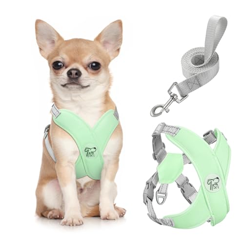 Pawaboo Small Dog Harness and Leash Set, Puppy Harness X-Frame No Pull No Choke, Dog Vest Harness Adjustable for Small Medium Sized Dogs, Soft Breathable Pet Harness for Walking Outing, S, Mint Green - color: A-Mint Green, size: S(Neck 12.6-16.5" Chest 12