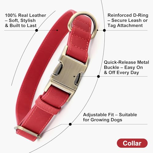 Plutus Pet Genuine Leather Dog Collar – Adjustable Pet Collar with Quick Release Metal Buckle, Soft Real Leather for Small Medium Large Dogs, Heavy Duty & Skin-Friendly (Red, XS) - color: Red, size: XS