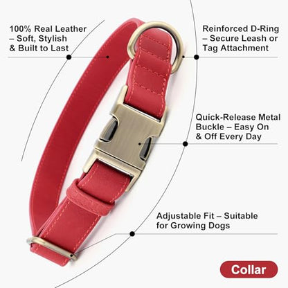 Plutus Pet Genuine Leather Dog Collar – Adjustable Pet Collar with Quick Release Metal Buckle, Soft Real Leather for Small Medium Large Dogs, Heavy Duty & Skin-Friendly (Red, XS) - color: Red, size: XS