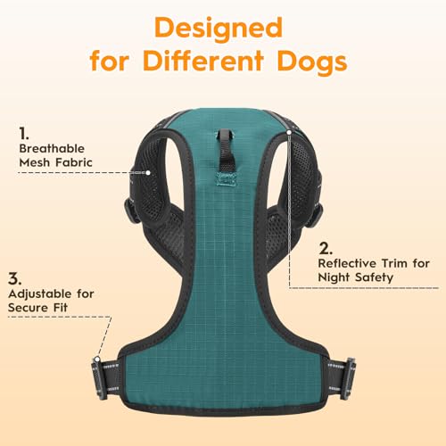 No Pull Dog Harness, No Chock Reflective Adjustable Soft Padded Pet Vest with Easy Control Handle, Easy Wearing with Stylish, Reinforced Knot, 2 Buckles - color: Glacial Teal, size: X-Small