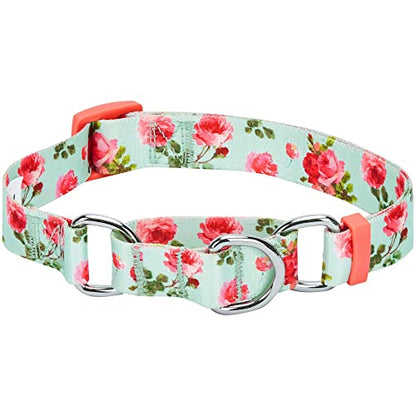 Blueberry Pet Spring Scent Inspired Rose Print Martingale Safety Training Dog Collar, Turquoise, Large, Heavy Duty Adjustable Collars for Dogs - color: Turquoise, size: Large