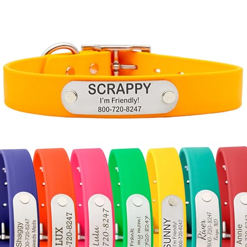 dogIDs Personalized Dog Collar – Custom Waterproof Soft-Grip Biothane with Laser-Engraved Nameplate, Durable & Odor-Resistant, USA Made | Creamsicle, 1 in x 16 in (Fits Necks Size 14-18 in) - color: Creamsicle, size: 1 in x 16 in (Fits Necks Size 14-18 in