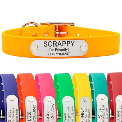dogIDs Personalized Dog Collar – Custom Waterproof Soft-Grip Biothane with Laser-Engraved Nameplate, Durable & Odor-Resistant, USA Made | Creamsicle, 1 in x 16 in (Fits Necks Size 14-18 in) - color: Creamsicle, size: 1 in x 16 in (Fits Necks Size 14-18 in
