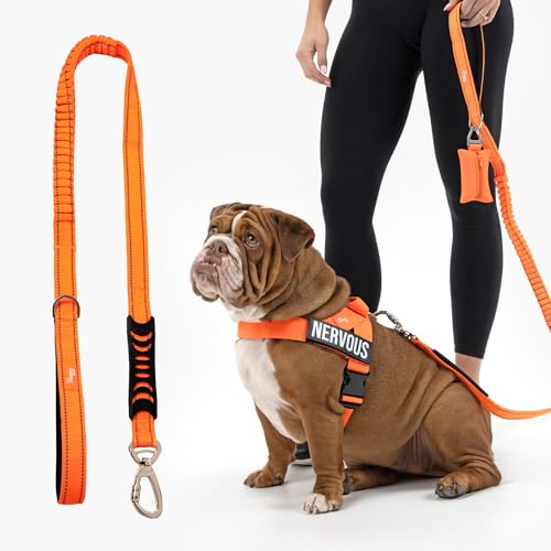 Dog Friendly Co. Bungee Dog Leash | Strain Free & Shock Resistant for Control | Neoprene Padded Handle, Heavy-Duty Carabiner Clip, and D-Ring | Hi-Vis Orange, Size Regular - color: Hi-Vis Orange, size: Regular