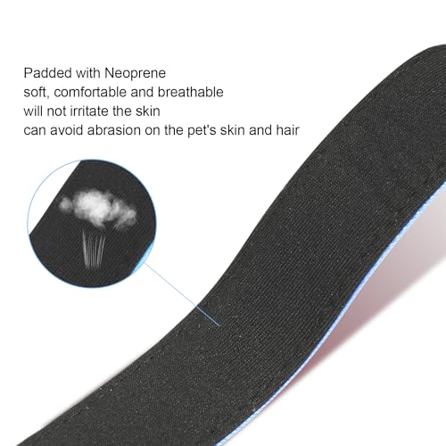 Dog Collars Adjustable for Puppy and Small Dogs, Heavy Duty Waterproof with Quick Release Buckle, Reflective Nylon Collar with Soft Neoprene Padded, XS, Sky Blue - color: Sky Blue, size: X-Small