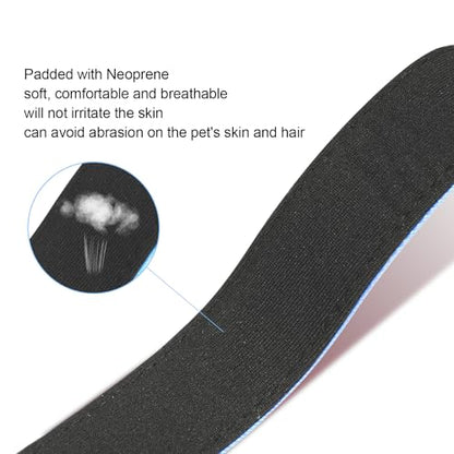Dog Collars Adjustable for Puppy and Small Dogs, Heavy Duty Waterproof with Quick Release Buckle, Reflective Nylon Collar with Soft Neoprene Padded, XS, Sky Blue - color: Sky Blue, size: X-Small