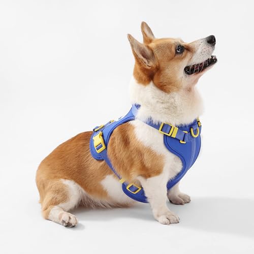HNS1002C Arlo Medium Adjustable Soft Padded No Pull Pet Harness with 3 Buckles and 3 Leash Clips, Curaçao - color: Dark Blue, size: Medium (Chest: 18 - 28")