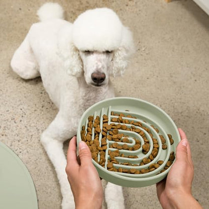 Should We Go? Slow Feeder for Dogs & Puppies, The Slowdown Bowl Silicone Slow Eating, Modern Lick Mat Design, Reduces Gulping, Fits 2.5 Cups, 9.5” Across x 1.5” Tall, Mealtime Challenge, Large-Sage - color: Sage - Rainbow Design, size: Large (9.5” Across