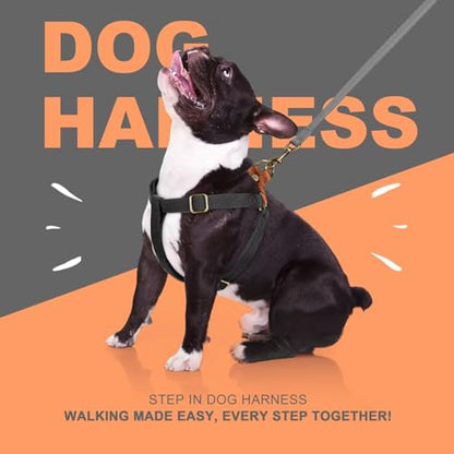 Didog Step in Dog Harness with Metal Buckles, Freedom Nylon Dog Halter Vests for Medium Dogs Easy Walking Training(M:Chest 19-28", Black) - color: Black, size: M: Chest 19-28", Fit 15-30 lbs