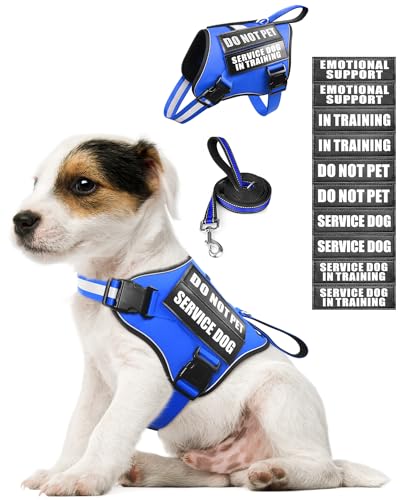 Service Dog Vest Harness and Leash Set+10 Patches for Puppy Small Dogs,Do Not Pet Emotional Support Dog Vest with 2 Soft Padded Handle for Everyday/Training (Blue XS) - color: Blue, size: Extra-Small