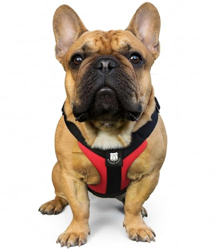 No-Pull Harness for English & French Bulldogs - Adjustable Wide-Chest Fit, Reflective Vest with Control Handle (Bulldog Red, Small) - color: Bulldog Red, size: Small