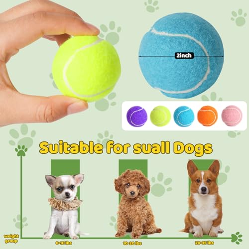20 Pack Tennis Balls for Dogs, 2 inch Dog Toy Ball with Mesh Bag, Small Tennis Balls Pet Dog Playing Ball for Pet Puppy (5 Color)