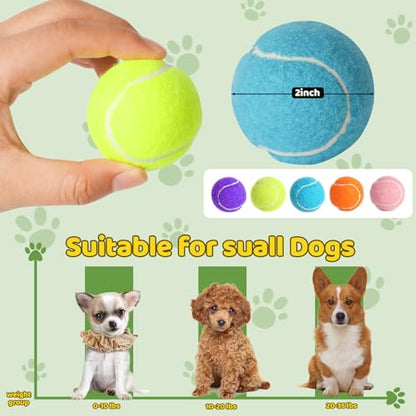 20 Pack Tennis Balls for Dogs, 2 inch Dog Toy Ball with Mesh Bag, Small Tennis Balls Pet Dog Playing Ball for Pet Puppy (5 Color)