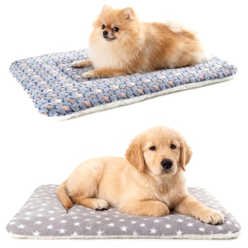 Dog Blankets for Small Dogs, 2-Pack Washable Plush Pet Mat - Soft & Warm Reversible Puppy Blankets for Couch, Bed, Crate& Travel Carrier - size: 22"x15"