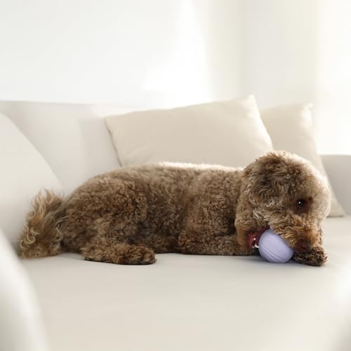 Playology Dog Toys | Dual Layer Ball Durable Chew Toy for Tough Chewers | Lamb Scented Medium Dog Toy | Chew Toys for Dogs - size: Medium, style: Lamb