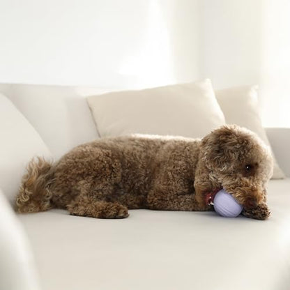 Playology Dog Toys | Dual Layer Ball Durable Chew Toy for Tough Chewers | Lamb Scented Medium Dog Toy | Chew Toys for Dogs - size: Medium, style: Lamb