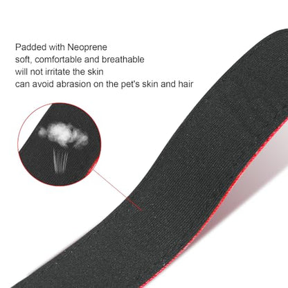 Dog Collars Adjustable for Small Dogs,Heavy Duty Waterproof Dog Collar with Quick Release Buckle,Girl Boy Female Male Reflective Nylon Dog Collar with Soft Neoprene Padded,S,Red - color: Red, size: Small
