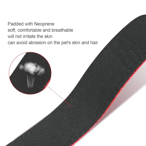 Dog Collars Adjustable for Small Dogs,Heavy Duty Waterproof Dog Collar with Quick Release Buckle,Girl Boy Female Male Reflective Nylon Dog Collar with Soft Neoprene Padded,S,Red - color: Red, size: Small