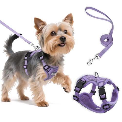 Small Dog Harness and Leash Set, Reflective Soft Breathable Mesh Vest, 3 Buckles, Adjustable Neck and Chest,Step in Dog Harness for Walking, Running, Training, Purple, XS - color: Purple, size: X-Small