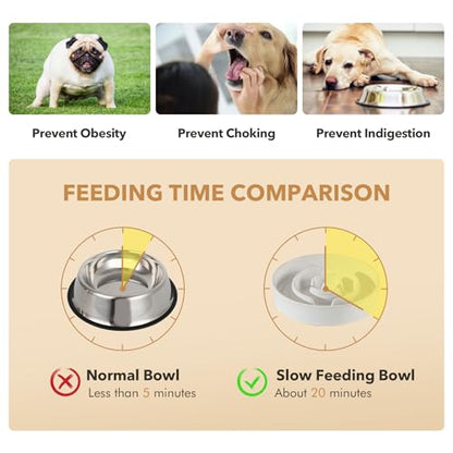 Havniva 1.2 Cup Elevated Slow Feeder Dog Bowls, 7.3” Dog Slow Feeding Bowls + 6.1” Ceramic Dog Water Bowls Set with Acacia Wood Stand, Dog Food Bowls Puzzle Feeder for Small Dogs Non-Slip Anti-choking - color: 2 x White + Stand - A, size: M- 7.3inch / 1.2