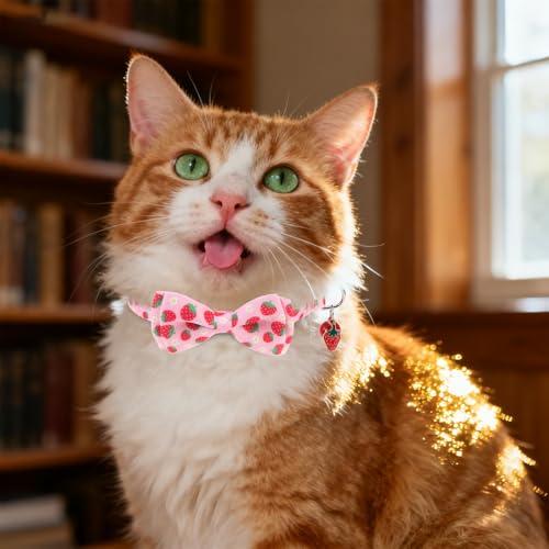 Breakaway Cat Collar with Removable Bow Tie and Bell, Cute Multi-Style Patterns, 3 Pack Safety Buckle Kitten Collars, Adjustable Pet Collar for Cats Puppy (Style B - Fruit) - color: Style B - Fruit
