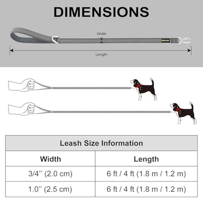 Plutus Pet Heavy Duty Dog Leash with Lockable Aluminum Carabiner, 4/6 Feet Long, Double-Sided Reflective Nylon, Padded Handle, for Puppy, Small, Medium and Large Dogs (Gray, 4/5" x 4') - color: Gray, size: 4/5" x 4'