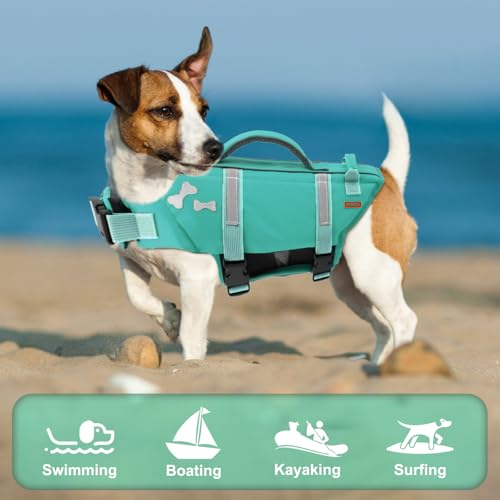EMUST Dog Life Vests, Adjustable XS Dog Life Jacket with Rescue Handle, Puppy Flotation Vest for Small/Medium/Large Dogs, Turquoise, XS - color: Turquoise, size: XS
