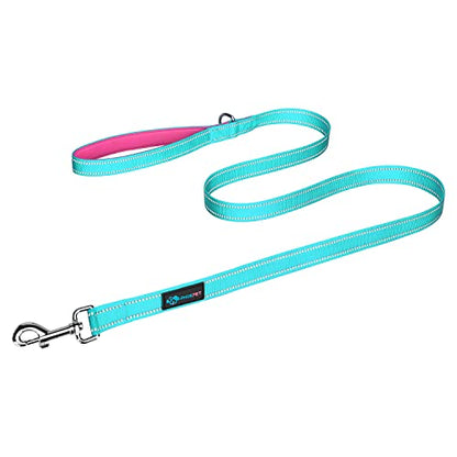 PHOEPET 5 Feet Dog Leash with Comfortable Padded Handle Easy Snap Clasp - Reflective Walking Lead for Large, Medium & Small Breed Dogs (Mint Green + Pink Base) - color: Mint Green + Pink Base
