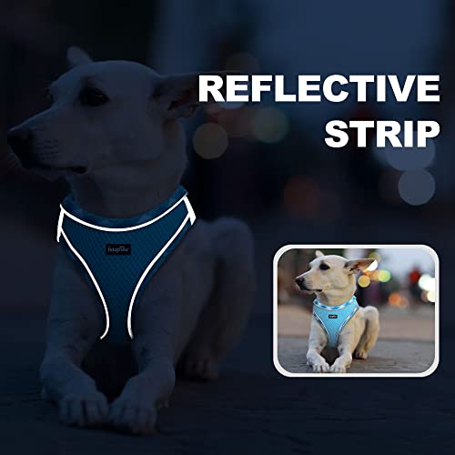haapaw Dog Harness with Leash Set, No Pull Adjustable Reflective Step-in Puppy Harness with Thickened Padded Vest for Extra-Small/Small Medium Dogs - color: Turquoise, size: M