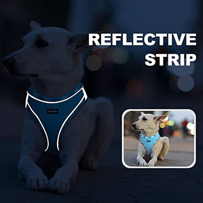 haapaw Dog Harness with Leash Set, No Pull Adjustable Reflective Step-in Puppy Harness with Thickened Padded Vest for Extra-Small/Small Medium Dogs - color: Turquoise, size: M