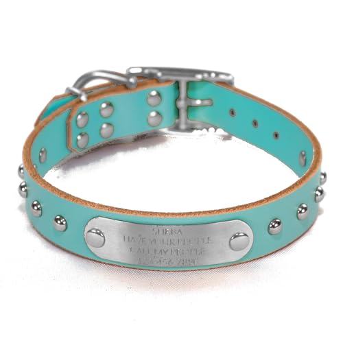 Handmade Studded Bridle Leather Dog Collar, Silver Tone Hardware and Stainless Steel Nameplate (Robin's Egg Blue) - color: Robin's Egg Blue