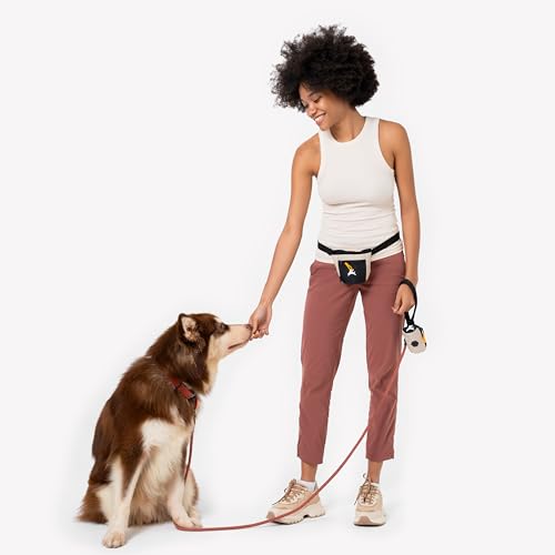OllyDog Goodie Treat Bag, Dog Treat Pouch, Waist Belt Clip for Hands-Free Training, Magnetic Closure, Dog Training and Behavior Aids, Three Ways to Wear (Con Leche) - color: Con Leche