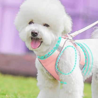 Dog Harness and Leash Set, No Pull Soft Mesh Pet Harness, Reflective Adjustable Puppy Vest for Dogs/Cats - color: Pink, size: Medium