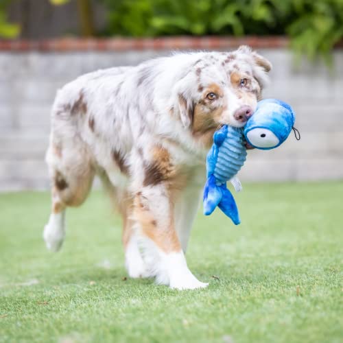 Huxley & Kent Slappies for Dogs | Jack Hammerhead (Small) | Squeak & Shake Dog Toy | No Stuff Squeaky Toy, TPR Ball in Head | Simulates Hunting Nature for Dogs - size: Small, style: Jack Hammerhead