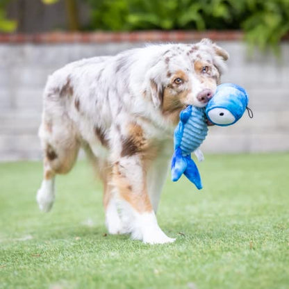 Huxley & Kent Slappies for Dogs | Jack Hammerhead (Small) | Squeak & Shake Dog Toy | No Stuff Squeaky Toy, TPR Ball in Head | Simulates Hunting Nature for Dogs - size: Small, style: Jack Hammerhead