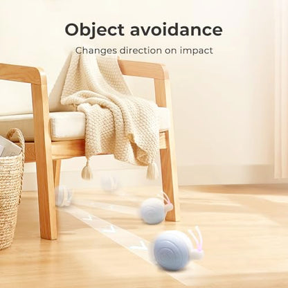 Cheerble Interactive Cat Toy for Indoor Cats, Wicked Snail Kitten Toys, Automatic Cat Toys with LED Lights, Rechargeable Moving Toys for Cats, Smart Stimulating Electric Pet Toy(Blue) - color: Blue