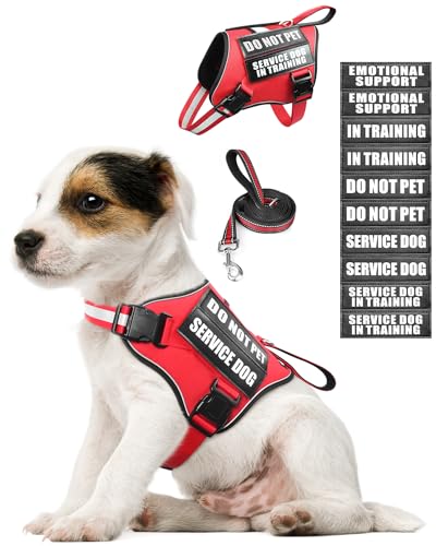 Service Dog Vest Harness and Leash Set+10 Patches for Puppy Small Dogs,Do Not Pet Emotional Support Dog Vest with 2 Soft Padded Handle for Everyday/Training (Red XS) - color: Red, size: Extra-Small