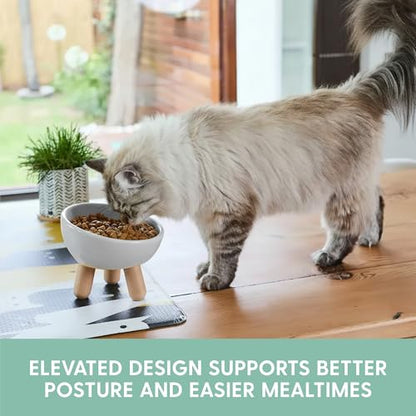 The Cat Ladies Tilted Ceramic Cat Bowl - Elevated Food Bowls Ceramic Pet Bowl - Raised Ceramics Bowls - Elevated & Tilted Design for Comfortable Eating - Dishwasher Safe - Wide Opening - color: Light Grey