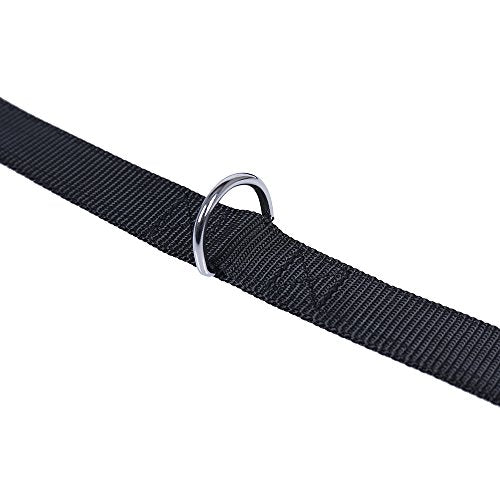 Nylon Dog Leash - Adjustable Heavy Duty Training Lead, 3m Hands Free Strong Line for Large Dogs