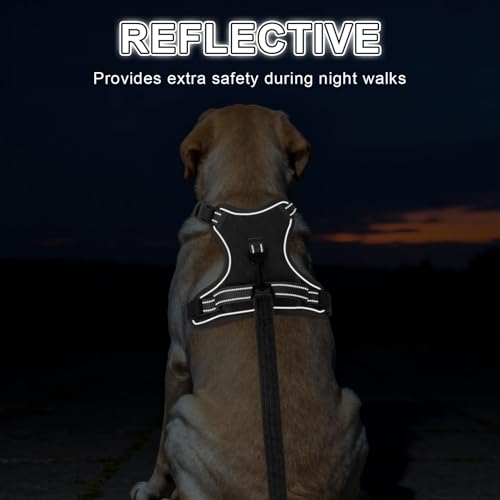 BEAUTYZOO No Pull Dog Harness Large, Adjustable Dog Harness and Leash Set -Easy Wearing with 3 Buckles/Control Handle,No Choke Soft Padded Reflective Pet Vest for Training Walking Hiking,Grey L - color: Solid Grey, size: L: chest 22"-33"