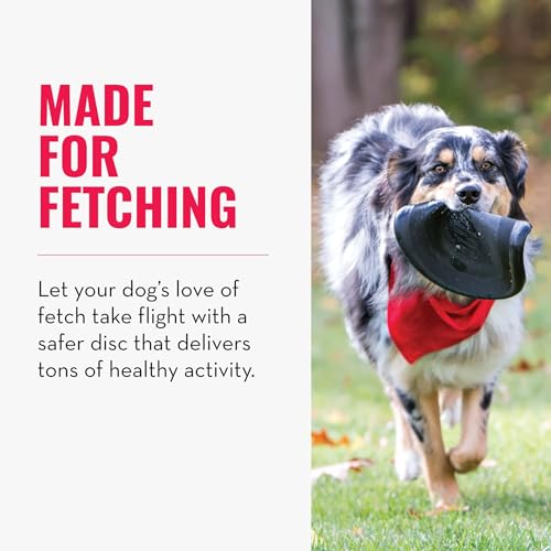 KONG Extreme Flyer - Dog Toy Supports Healthy Exercise - Soft Disc for Dogs - Toy for Fetch & Retrieve - Durable Flying Disc Dog Toy with Rebound - for Large Dogs