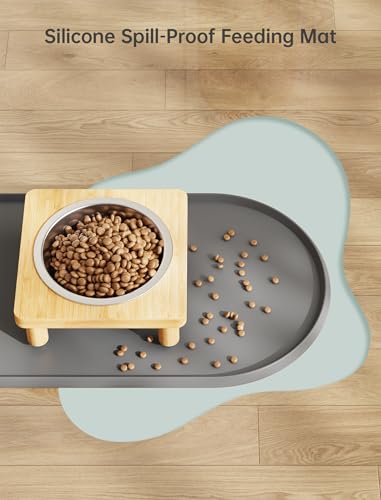 NiHome Elevated Cat Bowls with Food Mat for Indoor Cats, 5 Feeding Positions Raised Cat Bowl Bamboo Stand with 2 Stainless Steel Bowls, Whisker Friendly Dishwasher Safe Pet Food and Water Bowl
