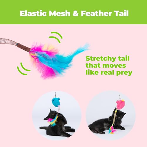 Catify by Best Pet Supplies Interactive Cat Toys – Plush, Motion-Activated & Squeaking Toys with Premium North American Catnip for Indoor Cats & Kittens - Squeaking Mice Set, Blue & Fuchsia - color: Squeaking Mice Blue & Fuchsia