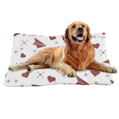 Ultra Soft Dog Mat with Anti- Slip Bottom, Cute Happy Cartoon Things for Dogs Chew Proof Dog Crate Pad Couch Bed Comfy Pet Mat for Indoor& Outdoor Sofa Cars, Machine Washable 36 × 24 inch - size: 36 × 24 inch