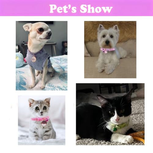 Pink Puppy Collar with Bell, XXS Dog Collar Girls, Cute Cat Collars with Bell for XXS Xs Small Tiny Female Dogs Pet Kitten Animal, XXSmall - color: Pink