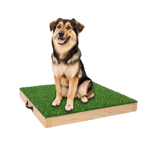 Dog Training Platform for Large Dogs, Place Boards for Dog Training, Portable Agility Training Equipment for Dogs Durable Hunting Dog Platform for Indoor or Outdoor Use
