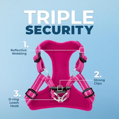 Best Pet Supplies Voyager Adjustable Step-in Flex Breathable Mesh Dog Harness for Small Medium Large Dogs (Fuchsia), M - color: Harness (Fuchsia), size: M